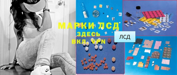 ГАЛЛЮЦИНОГЕННЫЕ ГРИБЫ Каменногорск